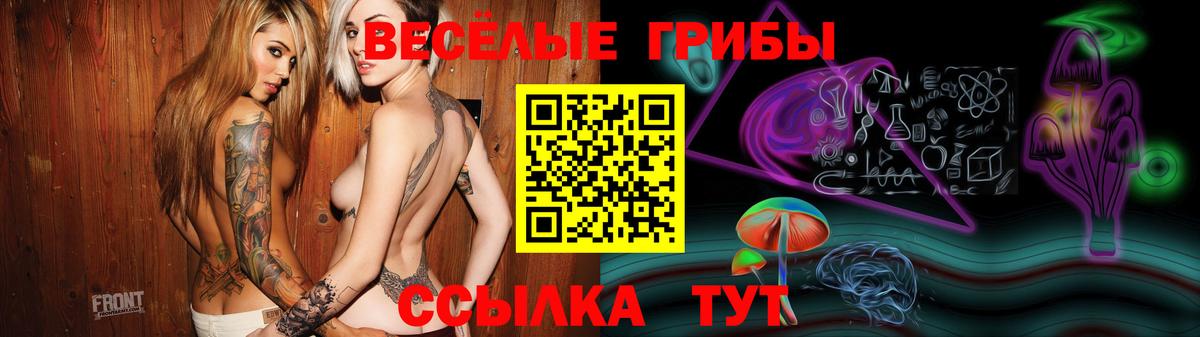 Галлюциногенные грибы Psilocybine cubensis Самара